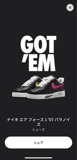 NIKEエアフォース1　パラノイズ