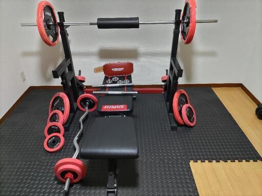 Amazon.co.jp: IROTEC (アイロテック) プレートラックレギュラータイプ