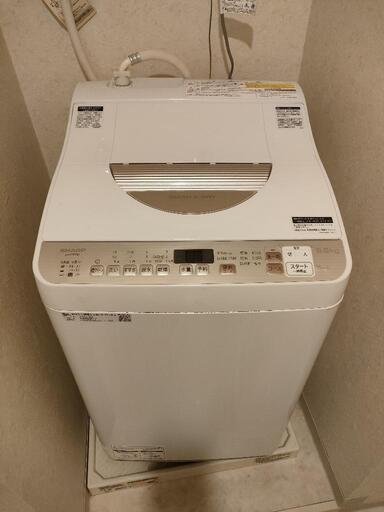 洗濯機（乾燥機能付き）