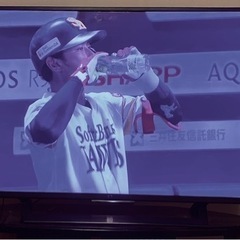 SONY ブラビア　49型(値下げしました)