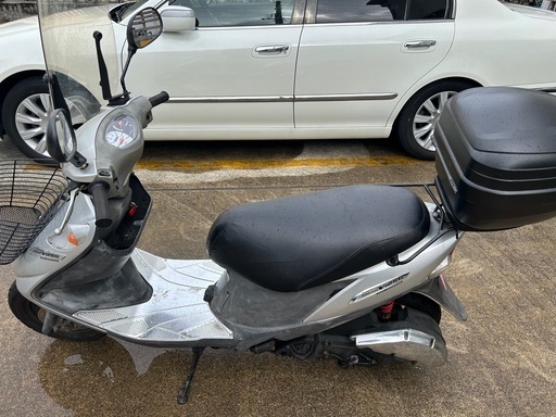 チロルパン様オーダー❤ヤマネコベビー♡アートドール♡ぬいぐるみ