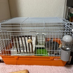 うさぎゲージ