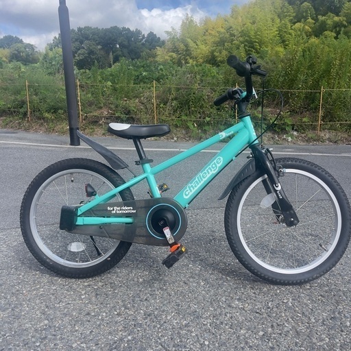ディーバイク チャレンジ 18（適正身長約103～125cm）