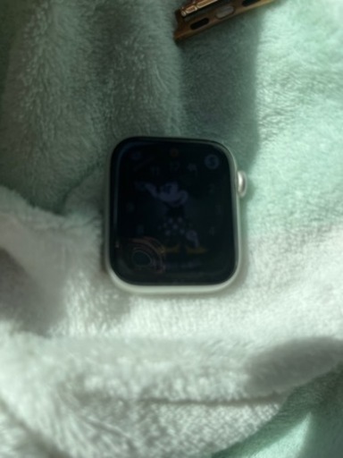 その他 Apple Watch