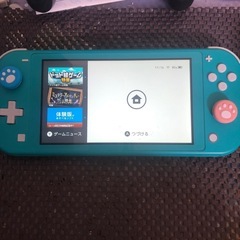 Nintendo switch lite +プロコン