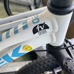お値引き相談のります)TREK Precaliber 20 2020
