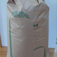 ②福井県産 令和6年新米コシヒカリ（玄米）30kg