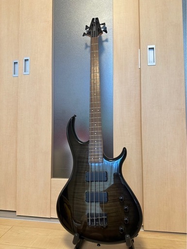 aria proⅡ