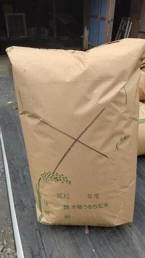 第2弾 令和6年小山市生井のコシヒカリ半分有機肥料低