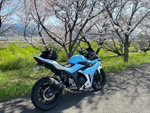 《値下げしました！》GSX250R