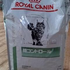 ロイヤルカナン　4kg 未開封　2袋 猫の餌