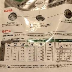 ロイヤルカナン　4kg 未開封　2袋 猫の餌
