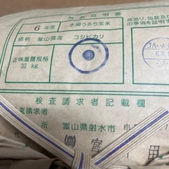令和六年富山県産　一等米👍　コシヒカリ米🌾 　