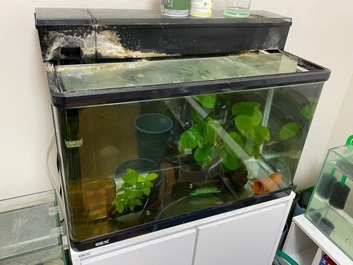 GEX　６０センチレギュラー水槽　上部フィルターセット