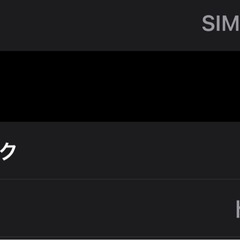 【美品】【SIMフリー】iPhone 15pro max 256GB