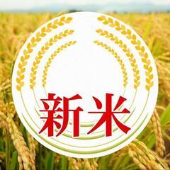 🌾令和6年度🌾精米済み🌟3キロ🌟