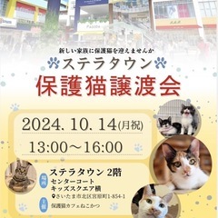 【保護猫譲渡会 in 大宮ステラタウン】