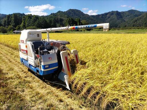 再 令和6年産コシヒカリ 新米 豊岡産