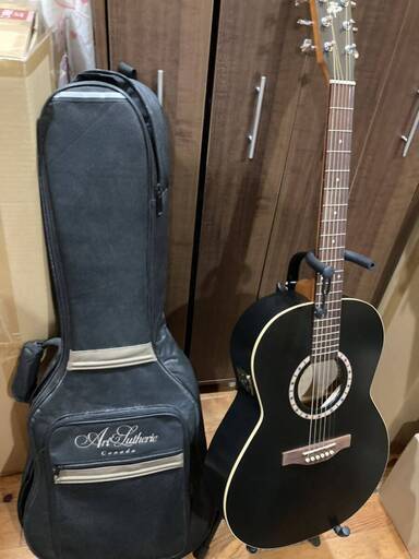 Art\u0026 Lutherie Canada エレアコ ギクバック付き 型番不明 アコースティックギター ギター 弦楽器