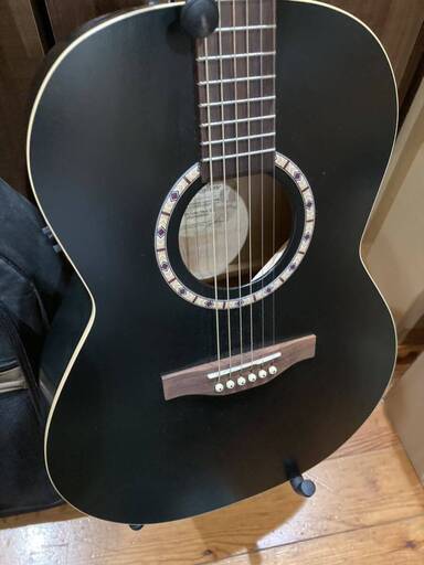 Art\u0026 Lutherie Canada エレアコ ギクバック付き 型番不明 アコースティックギター ギター 弦楽器