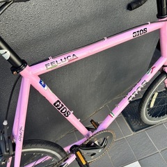 【GIOS】 2017 “FELUCA PISTA” 