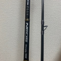 23レガリスLT5000CXH ショアジギングロッド