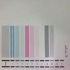 【動作OK】印刷枚数わずか900枚！！　Canon　キャノン　A4インクジェットプリンタ　TS8030　白