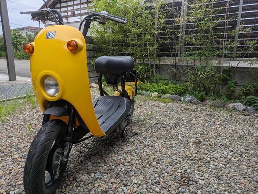 スズキ　チョイノリ 50cc