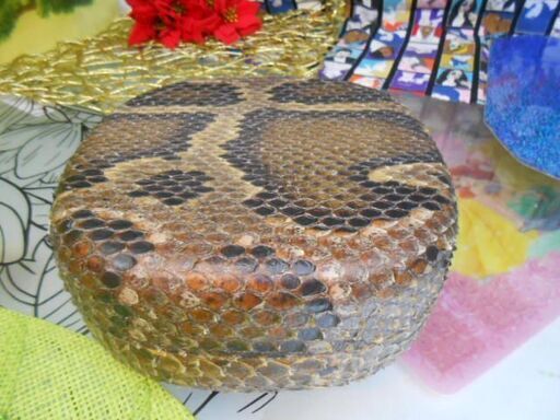 R15現品販売 9.980円 蛇皮強化(二重張)型チーガ(三線胴) 貴方