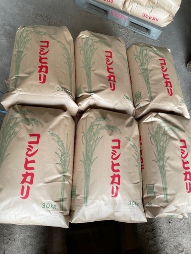 【取引中】茨城県産コシヒカリ 50kg