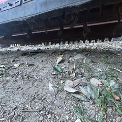 クボタ　パディーハロー　PS246