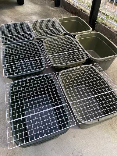 メダカ　飼育用　タライ　62L 60L セット　オーバーフロー加工　スチールネット