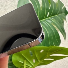 【大容量】iPhone 13 pro  512GB シエラブルー