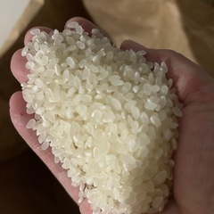 引き渡し開始！令和6年度新米ひとめぼれ30kg 