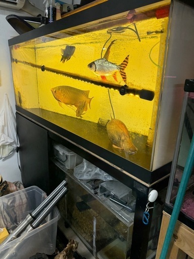 1500アクリル水槽