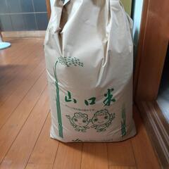 お米 令和６年度産