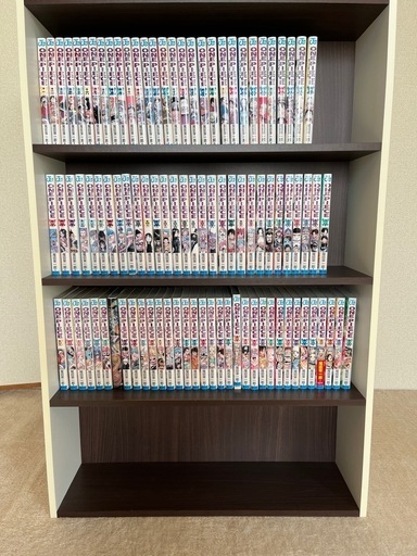 本棚付き！漫画ワンピース1~94巻