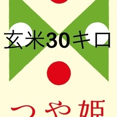 ⚠️受付終了⚠️✨🌾2024年度　新米　つや姫🌾✨