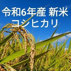 令和6年産 新米コシヒカリ！！ 販売予約開始いたします！