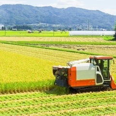 お取引中②あきたこまち?