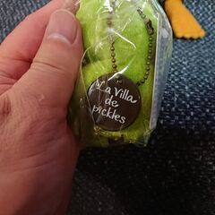 未使用　新品　袋入りやタグ付き　カエルのぬいぐるみ　人形？　４個　　　Frog and Toad Crocodile Creek-  BOOK friends       La Villa de pickles     