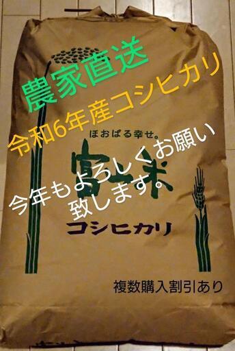 令和6年コシヒカリ。新米。