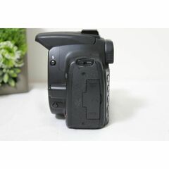 Canon kiss Digital N ダブルレンズ SDカード付き 初心者キット