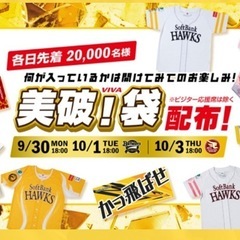 【お話中】ソフトバンクホークスチケット 9月30日 2枚