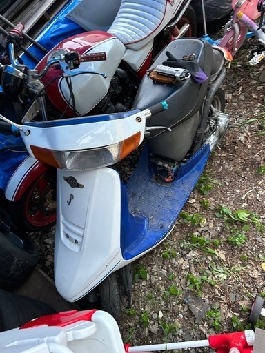 af24 タクト