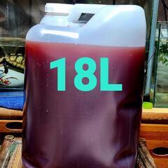 No.13　　光合成細菌　PSB　【18L】かなり良い出来上がり...