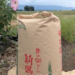 受付終了 ⑶ 令和6年産 新米 コシヒカリ 30kg玄米 直接取引のみ！