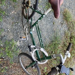 ビアンキ ブルーノ ミニベロ クロスバイク セット