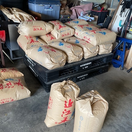 採れたて 新米（品種 秋の歌）玄米30キロ