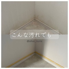 オリーブぬり家